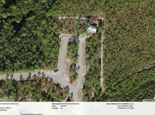LOT 22 Royal Tern Ct, Carrabelle, FL 32322