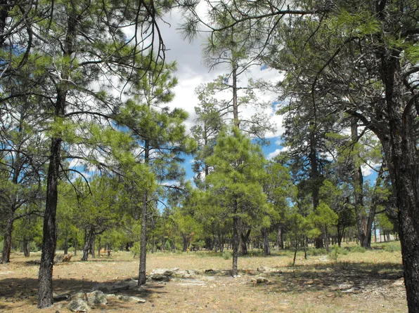 5376 Tamarron Dr, Happy Jack, AZ 86024