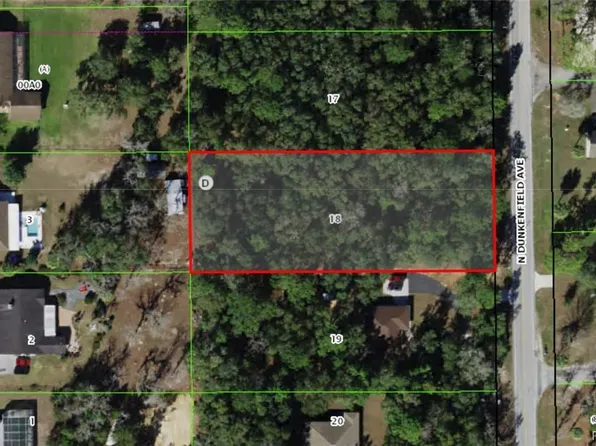 234 N Dunkenfield Ave, Crystal River, FL 34429