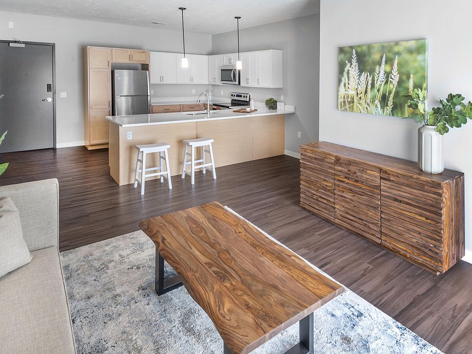 Living Room and Kitchen 2 Bedroom Apartment