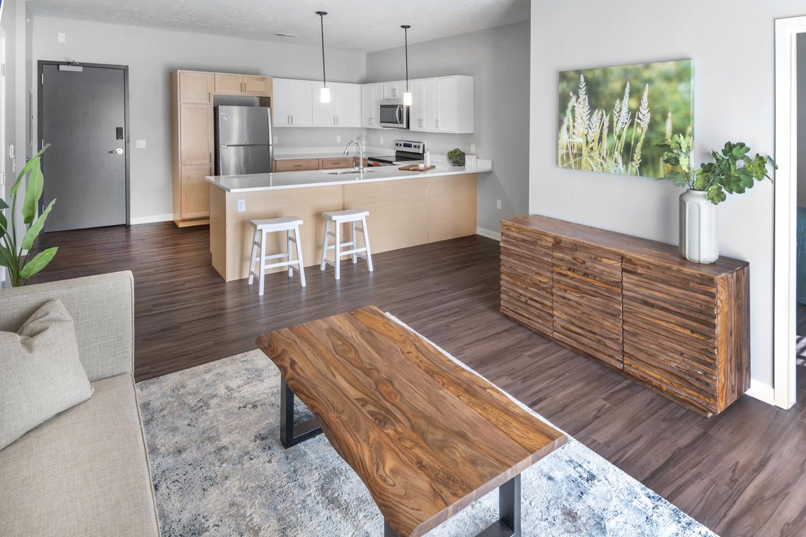 Living Room and Kitchen 2 Bedroom Apartment