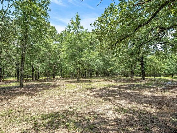 4th image of 16 Vz County Rd #1804