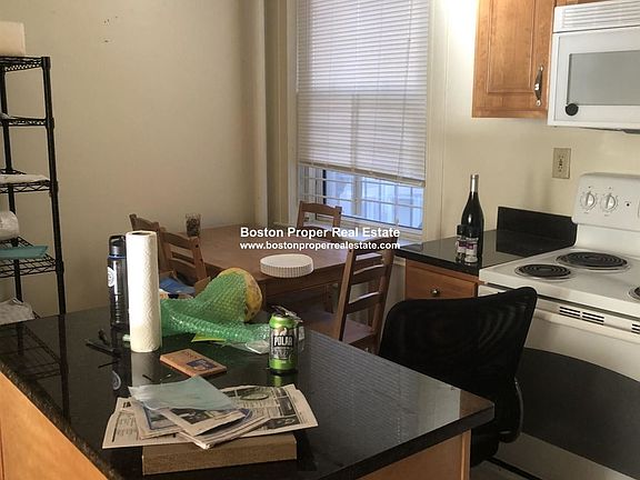 117 Park Dr. #11 Boston - Fenway Unit Photo 2