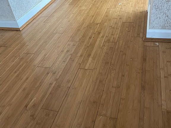 Bamboo flooring 