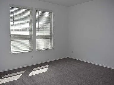 217 English Oak St — Photo 9