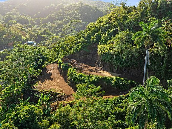 2nd image of 0 Carr #411