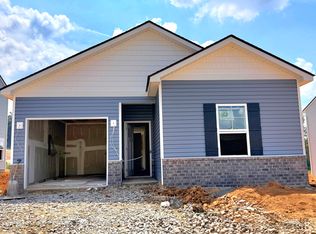 317 Chimney View Loop, Blountville, TN 37617