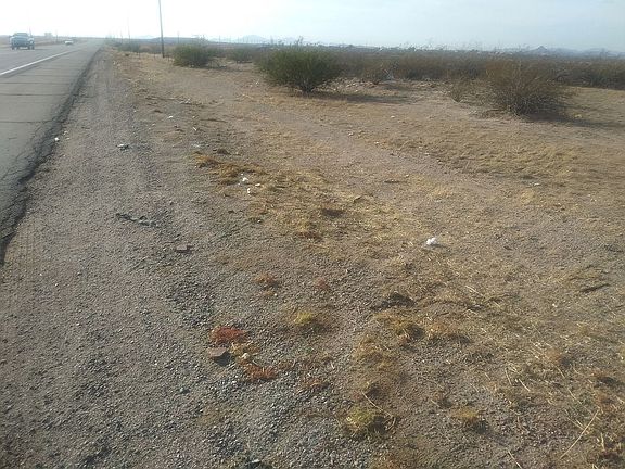 4th image of 824 W Highway 287 Parcel 1