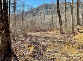 0 Deep Gap Vw #44, Whittier, NC 28789