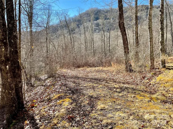 0 Deep Gap Vw #44, Whittier, NC 28789