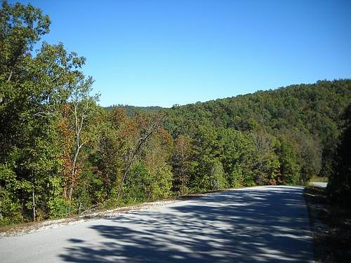 2nd image of Dogwood Trl