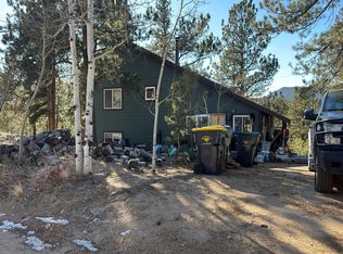 31 Buffum St, Bailey, CO 80421