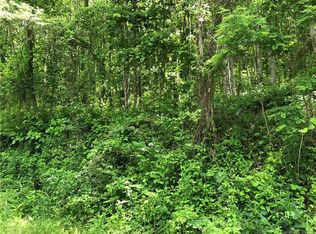 Wesley Creek Rd, Clyde, NC 28721