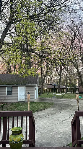 2648 3rd St Photo 1