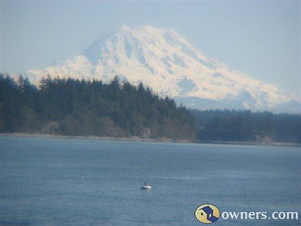 Mt Rainer View!