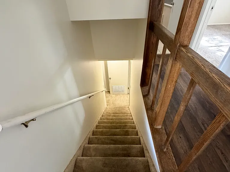 10680 S Carrington St — Photo 19