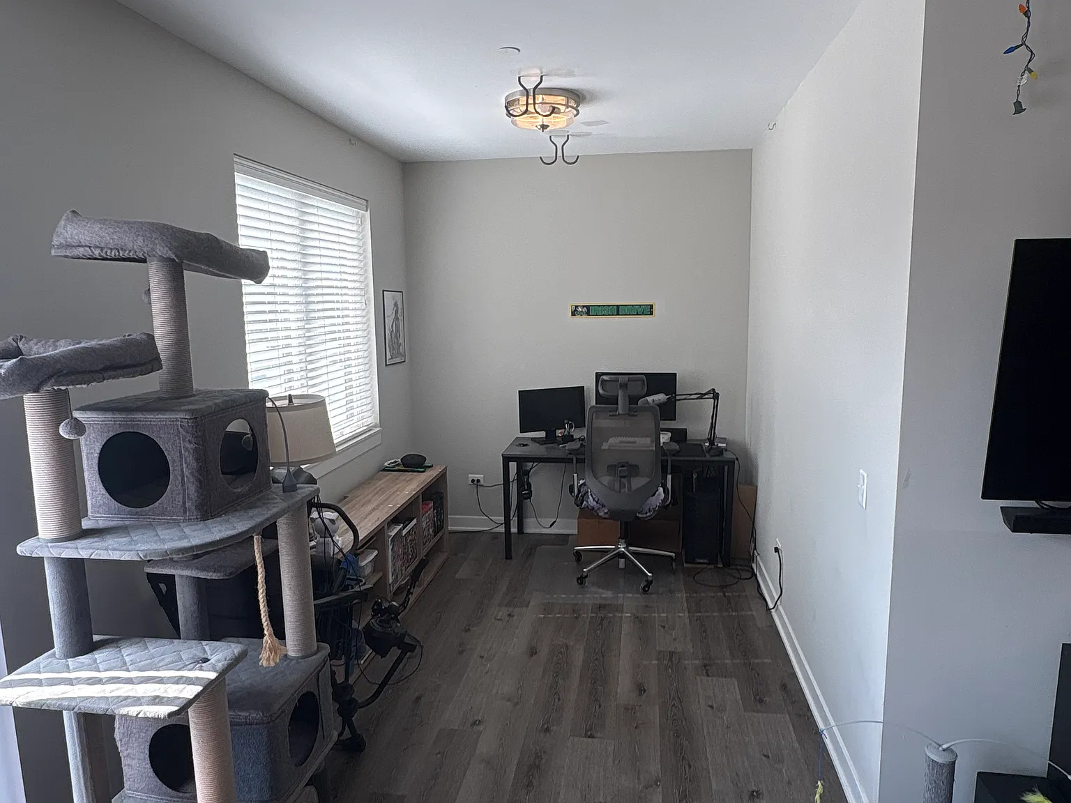 1 bed, 712 sqft, $2,100 — Photo 3