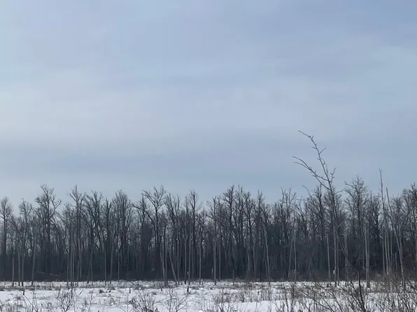 Highway 73, Floodwood, MN 55736