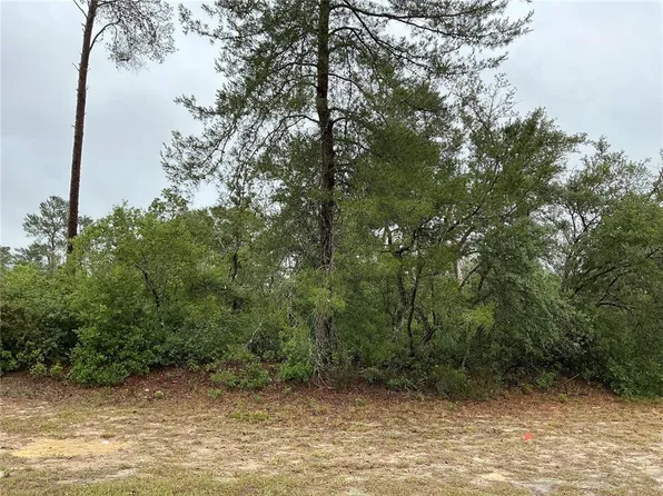 SW 20th Ct Lot 30, Ocala, FL 34471
