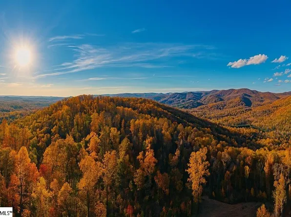 200 Chestnut Mountain Rd, Travelers Rest, SC 29690