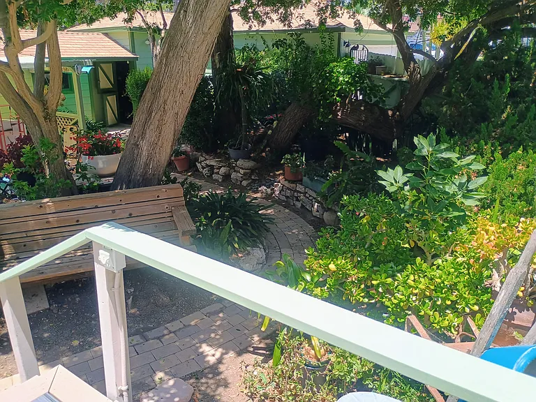 Front Garden