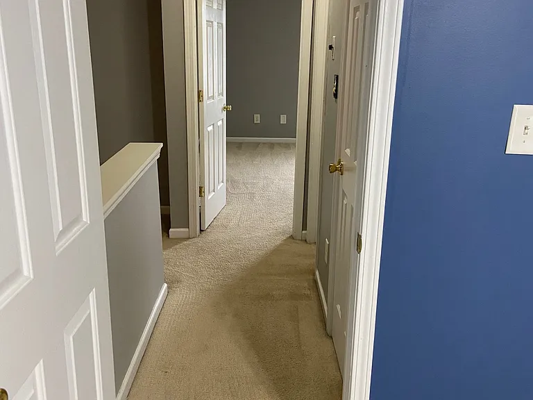 10530 Plantain Ct — Photo 12