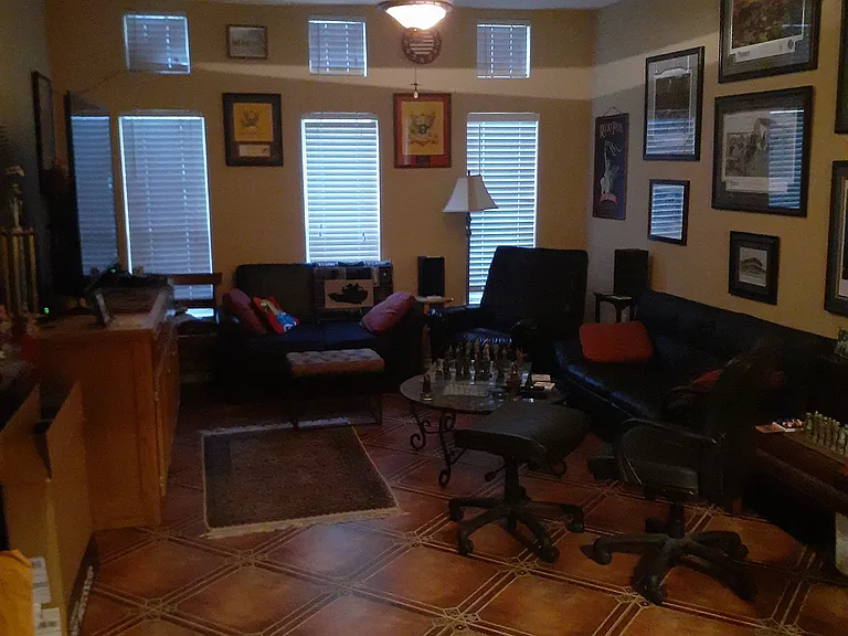 4010 Roclinata Palm Ct — Photo 11