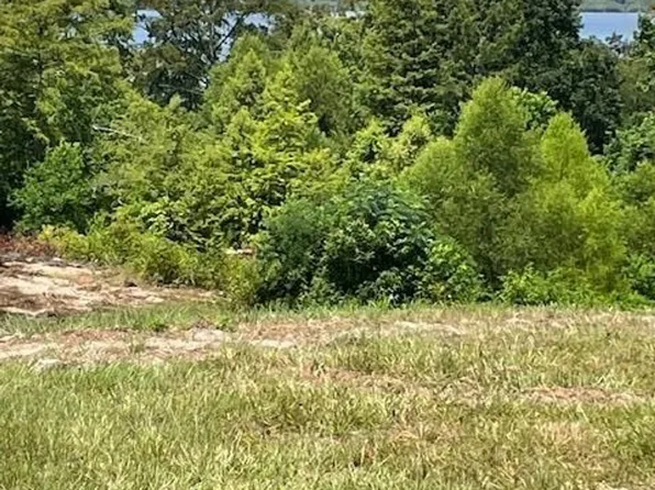 430 County Road 3360, Broaddus, TX 75929