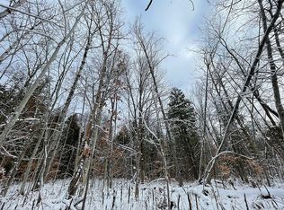 11522 Huffman Lake Rd, Vanderbilt, MI 49795