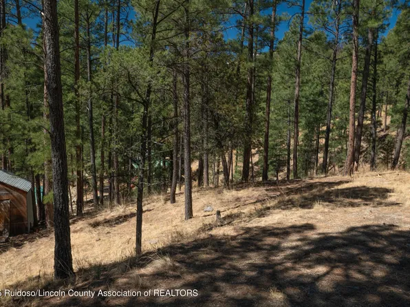 114 Ash Dr, Ruidoso, NM 88345