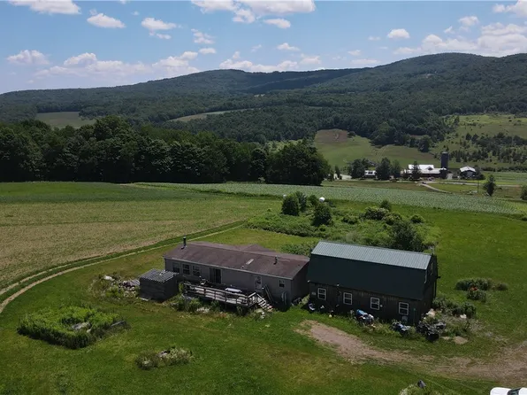 503 N Harpersfield Rd, Jefferson, NY 12093