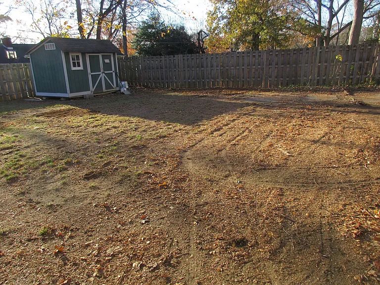 Back yard with shed