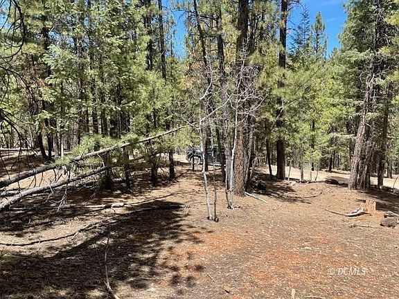 4th image of 253 W Mammoth View Dr