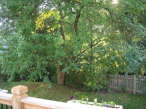 View from deck - West