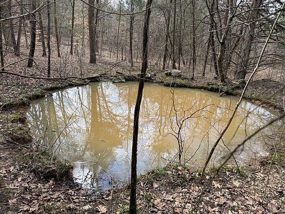 3rd image of 14 Hamilton Lee Rd