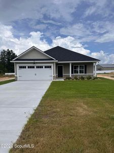 110 Mangrove Ct, Jesup, GA, 31546