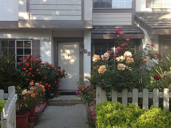 4th image of 5071 Shalimar Cir
