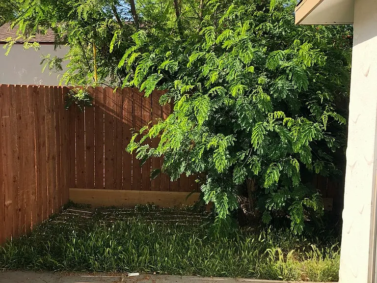 1100 N Mooney Blvd — Photo 13