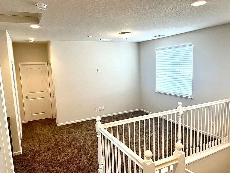 3913 Purple Finch Ln — Photo 13