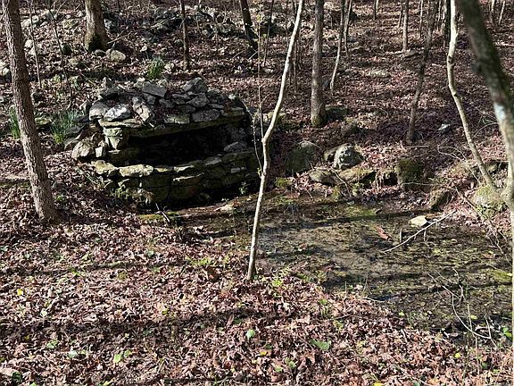 5th image of Polk Rd #13