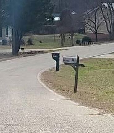 Exterior Neighborhood (street photo)