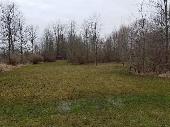 5528 E Shelby Rd, Medina, NY 14103