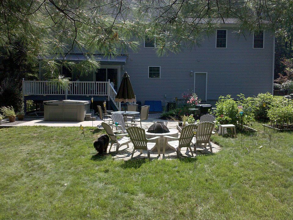backyard 2010