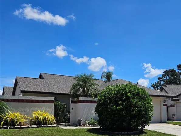 6925 Silvermill Dr, Tampa, FL 33635