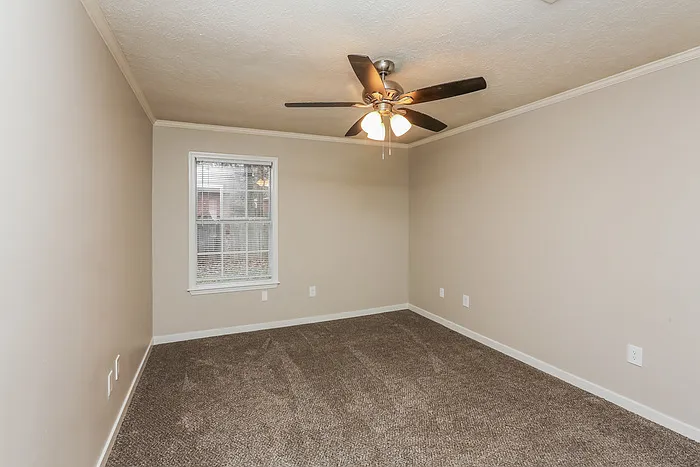 506 Stockton Cv — Photo 9