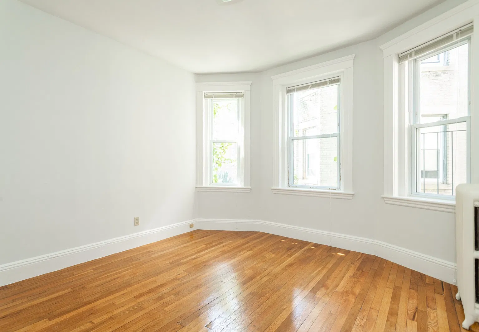 49 Worthington Street Apartments — Photo 1