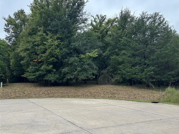 2099 Parkview Dr, Wills Point, TX 75169