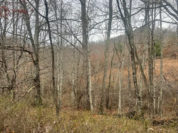 High Meadows Ln, Alderson, WV 24910