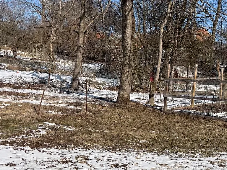 260 Cedar St — Photo 8