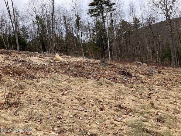 74 Watershed Drive, Diamond Point, NY 12824